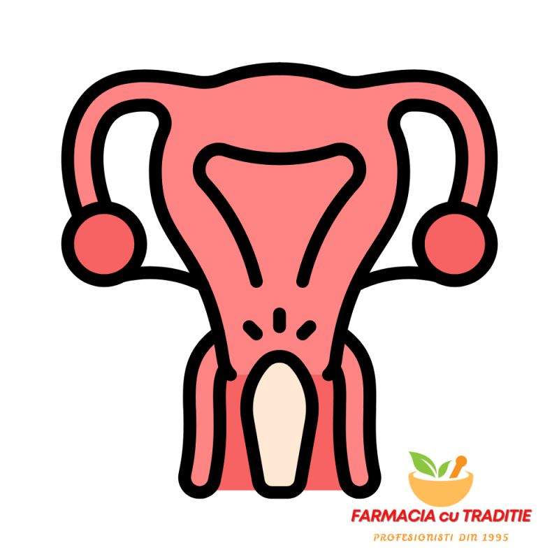 OVULE TRATAMENT CU HORMON DHEA 6.5MG x 30 ovule 